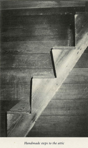 Attic Steps