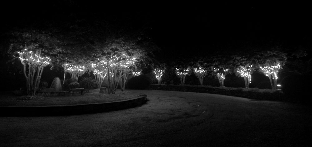 McRae lights