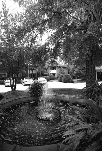 Photo of McRae Manor