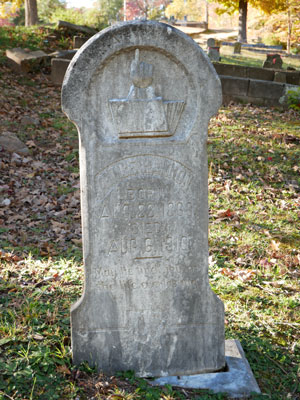 Reverend McAboy’s 1880 census enumerates that Prince Hannon and his brother John were literate. Prince became a Southern Railway employee killed in an operations accident. By occupation his wife was a washerwoman. She took their children to seek better opportunities in West Virginia, where his son became a coal miner.
