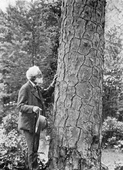 George Warner