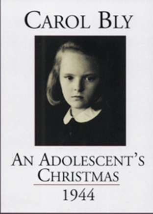 Cover of An Adolescents Christmas