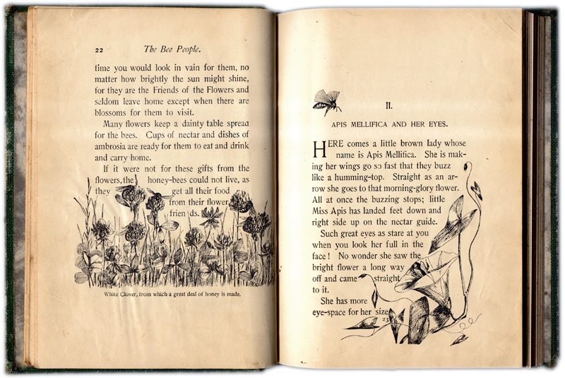 The Bee People written and illustrated by Morley