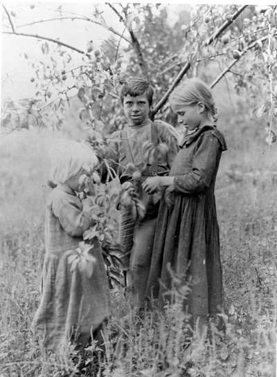Photo of three children in a filed during harvest season