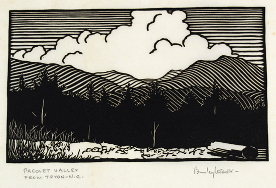 Pacolet Valley print