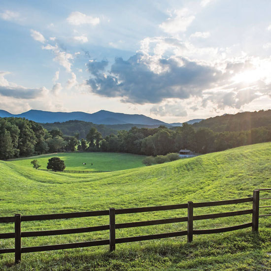 Cotton Patch Farm