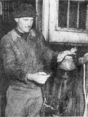 Robert Borg
